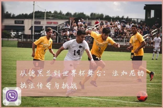 从德黑兰到世界杯舞台：法加尼的执法传奇与挑战