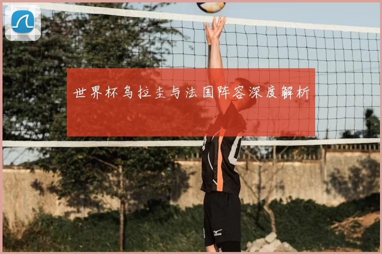 世界杯乌拉圭与法国阵容深度解析