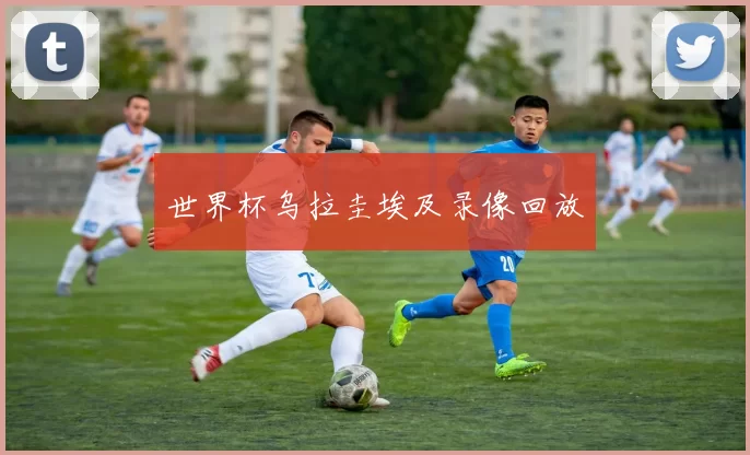 世界杯乌拉圭埃及录像回放
