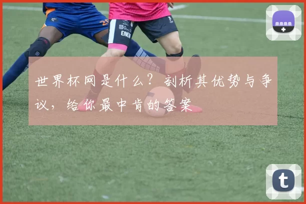 世界杯网是什么?剖析其优势与争议,给你最中肯的答案