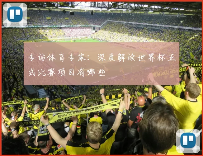 专访体育专家：深度解读世界杯正式比赛项目有哪些
