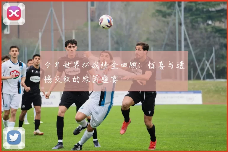 今年世界杯战绩全回顾:惊喜与遗憾交织的绿茵盛宴