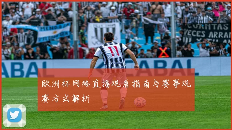 欧洲杯网络直播观看指南与赛事观赛方式解析