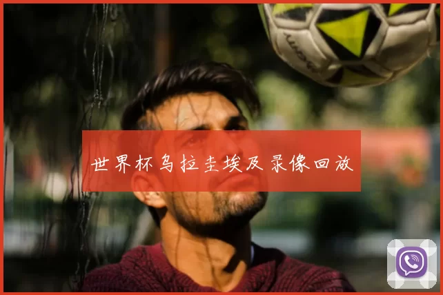 世界杯乌拉圭埃及录像回放