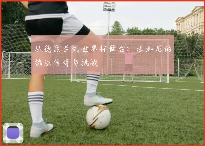 从德黑兰到世界杯舞台：法加尼的执法传奇与挑战