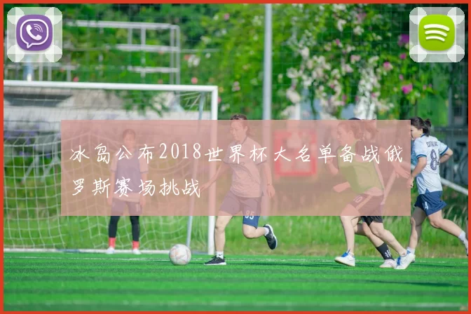 冰岛公布2018世界杯大名单备战俄罗斯赛场挑战